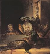 REMBRANDT Harmenszoon van Rijn Still life with two dead Peacocks and a Girl (mk33) Germany oil painting artist